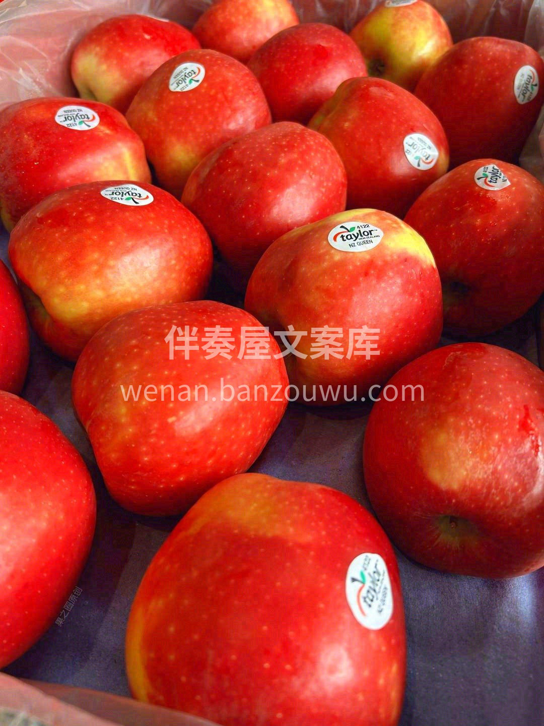 ✈新西兰的红玫瑰苹果🍎，健康又营养👍 一 配图2