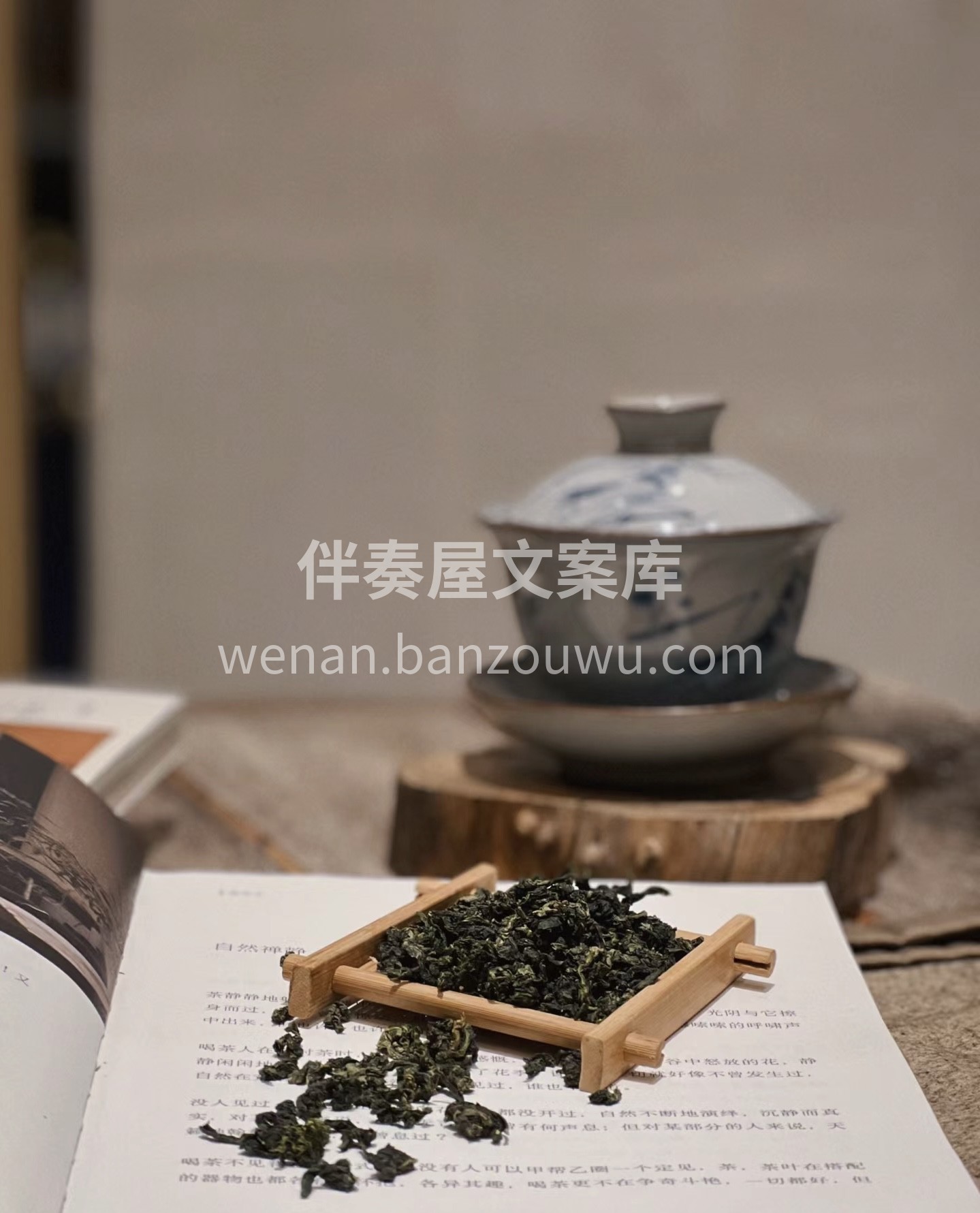 铁观音：原产于福建安溪，茶叶卷曲，肥壮圆 配图1