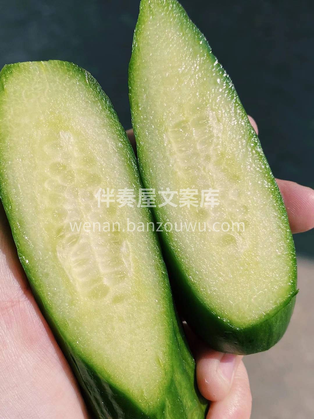 午后时光或宅家追剧时或在办公室饥肠辘辘的 配图3