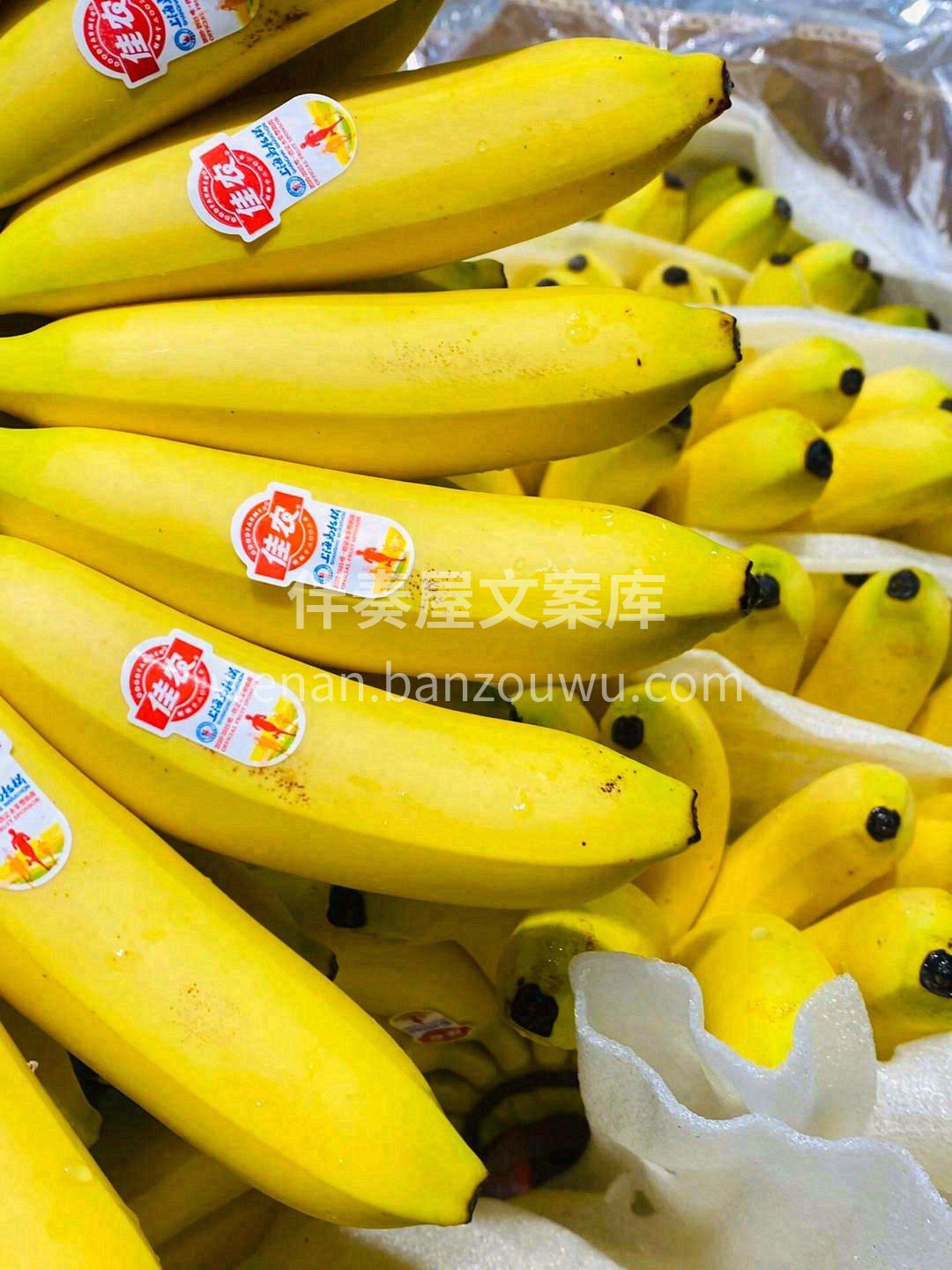 没有好东西怎会惊扰你📢 超级新鲜皇帝蕉🍌 配图1