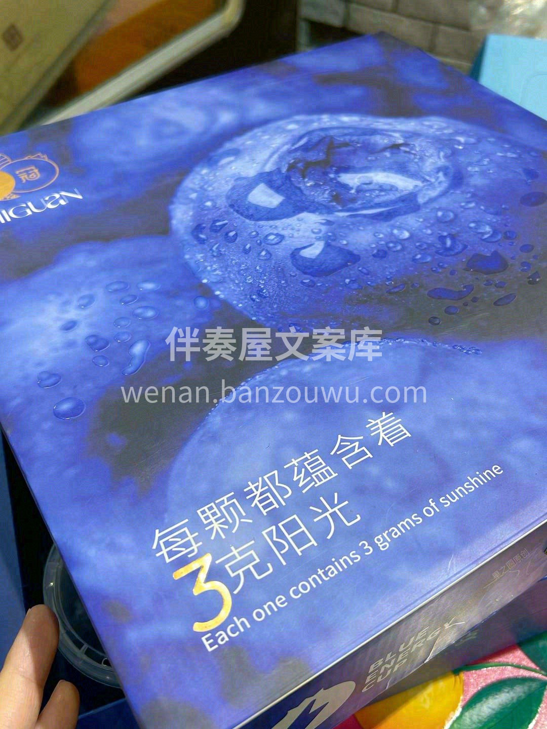 万物皆可爱，一颗永流传💎，愿你每天“莓” 配图3