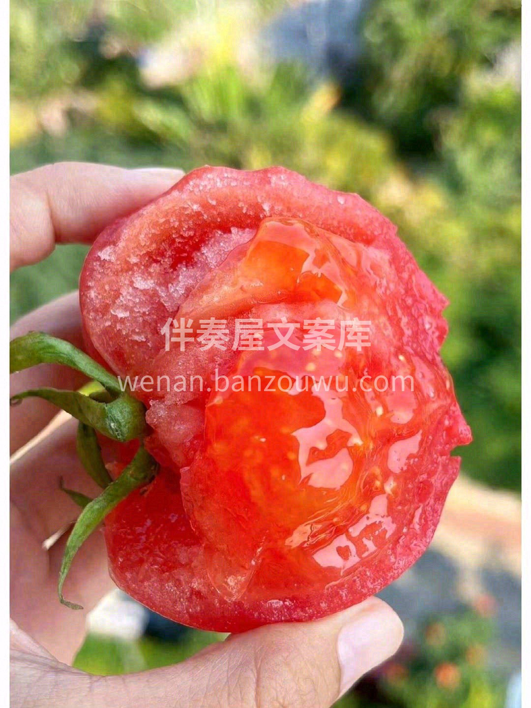 😋细细品味，清香的汁水混着厚实沙粒感的果 配图1