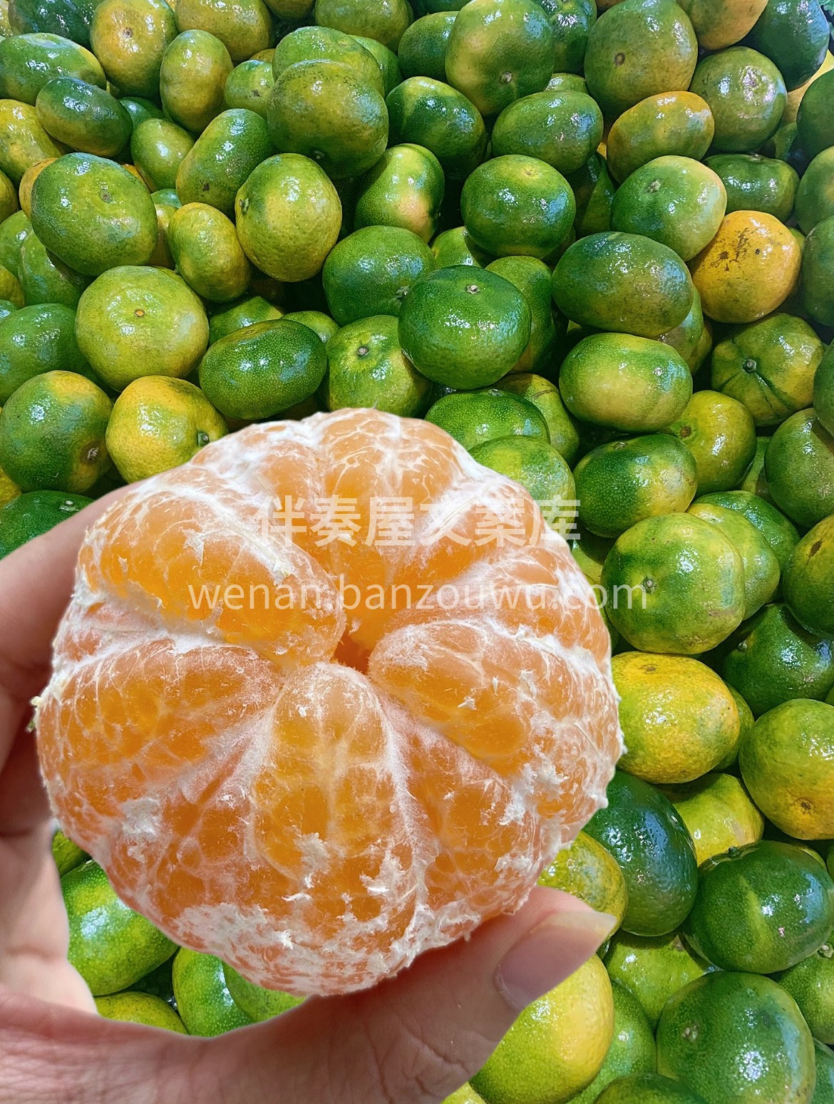 🍊优选蜜橘‼️鲜甜不等待✨ 颗颗饱满果肉 配图1