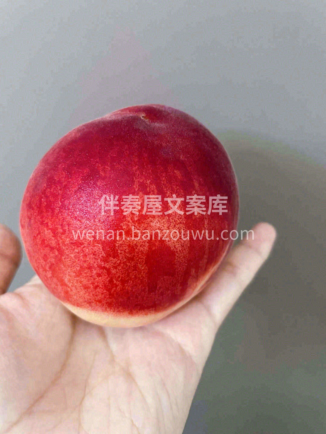 天地绝色🍨，人间水蜜桃🍑 粉粉嫩嫩的水蜜 配图2