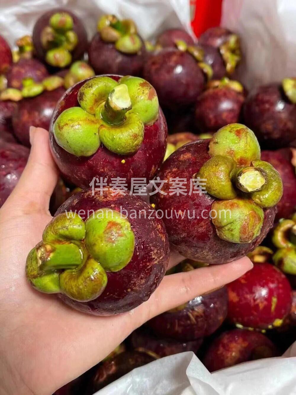 🍃这个季节的山竹，真的是不容错过的哦🙌  配图1