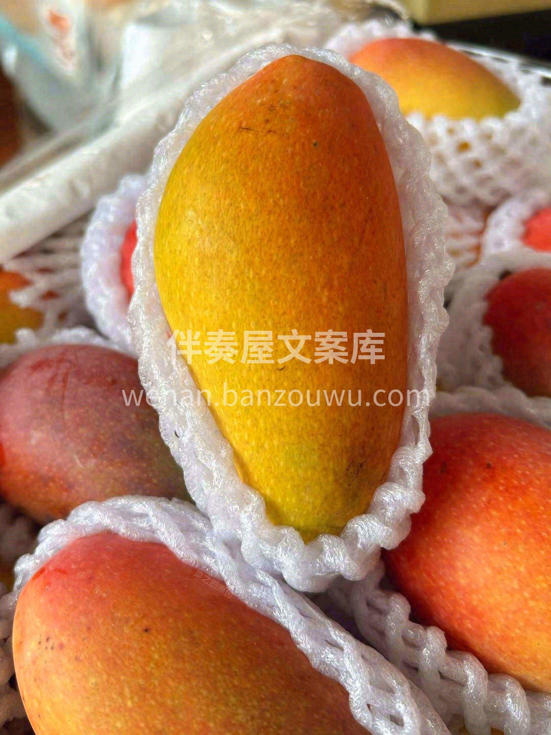 🥭长得乖巧！颜值拉满🎉 青红相接、黄绿交 配图3