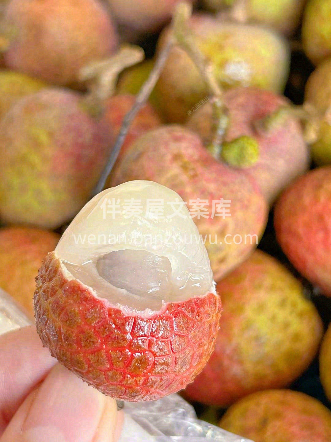 ?桂花香荔枝味道非常甜?，一般人很少吃到 配图2