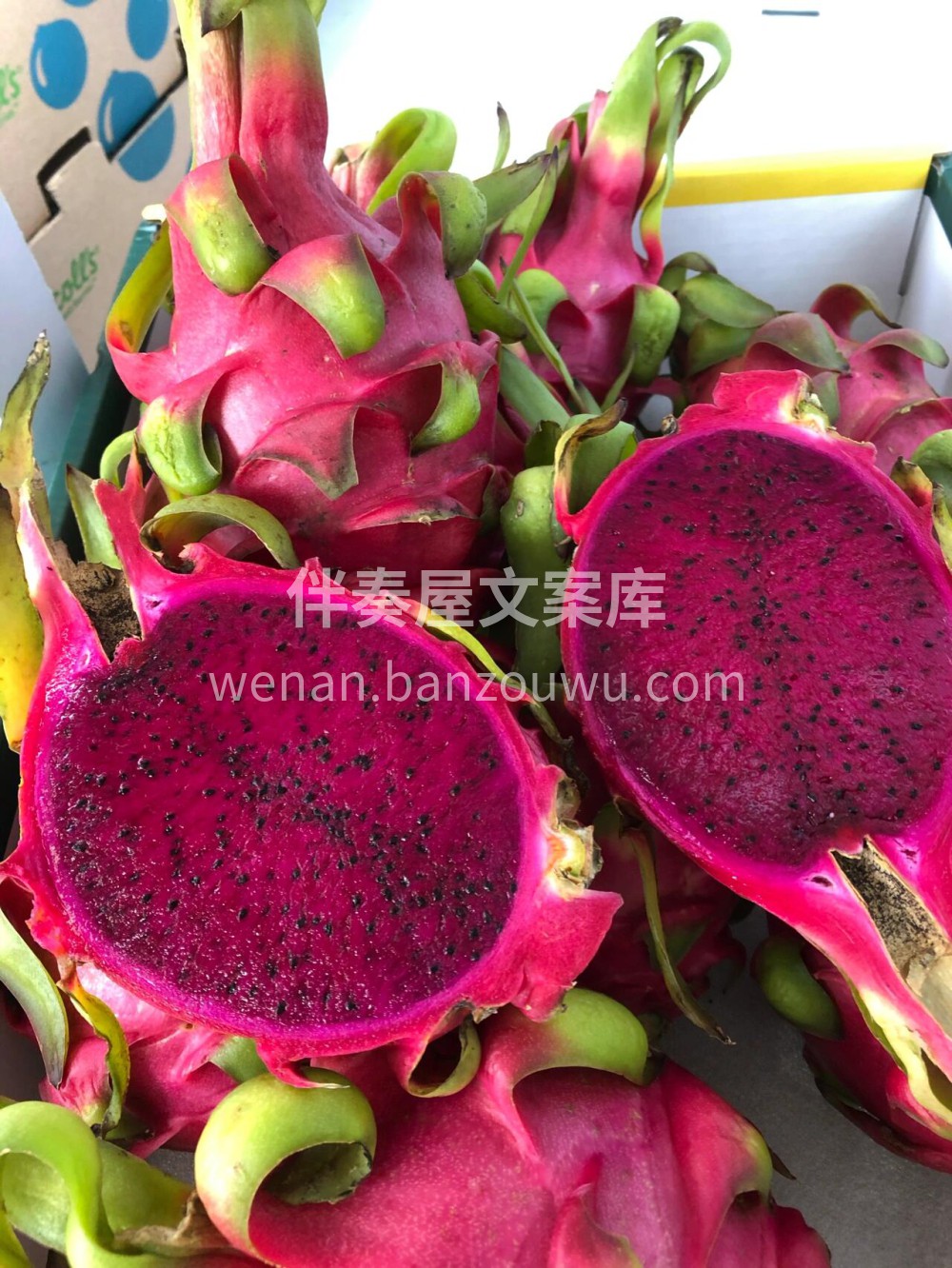 趁着它最美的时节🌈每天认真的吃一颗红心火 配图3