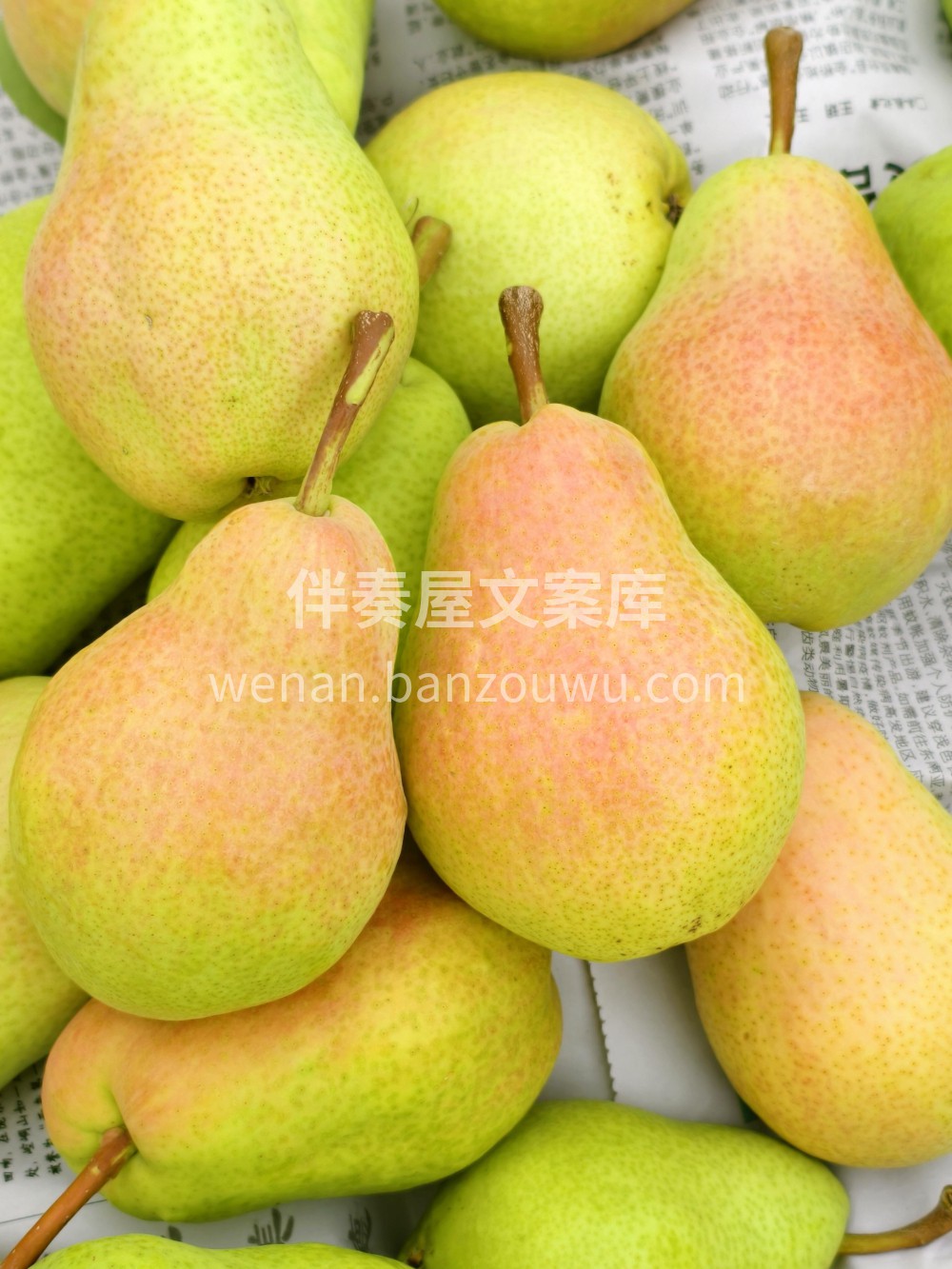 甘肃香蕉梨🌸简直就是秋燥的灭火器~在甘肃 配图1