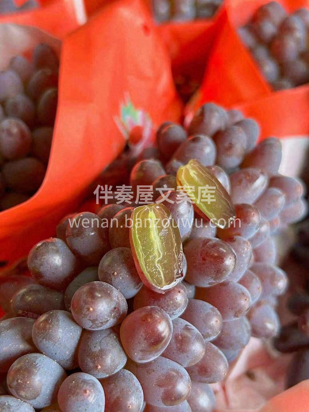 🌈茉莉香葡萄上新✨ 颜值担当😎茉莉香葡萄 配图1