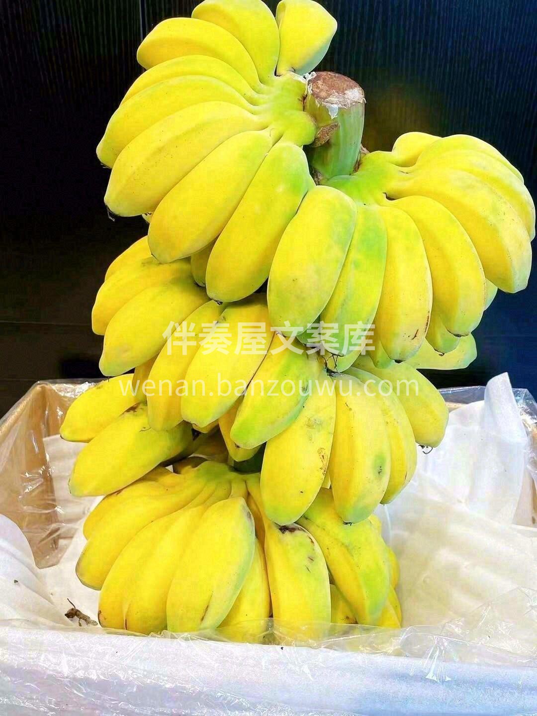 苹果蕉🎉🎉优质稀有香蕉品种，果肉淡黄色🍌 配图1