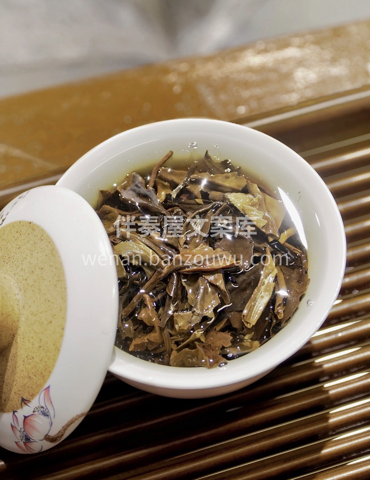 云南高山白茶｜🎁 月光白的温柔，藏着云雾 配图1