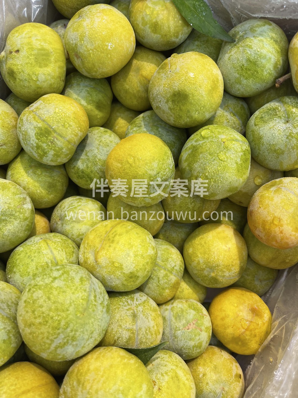 🍯 蜂糖李咬一口盛夏的“液态蜜糖”！宝宝 配图2