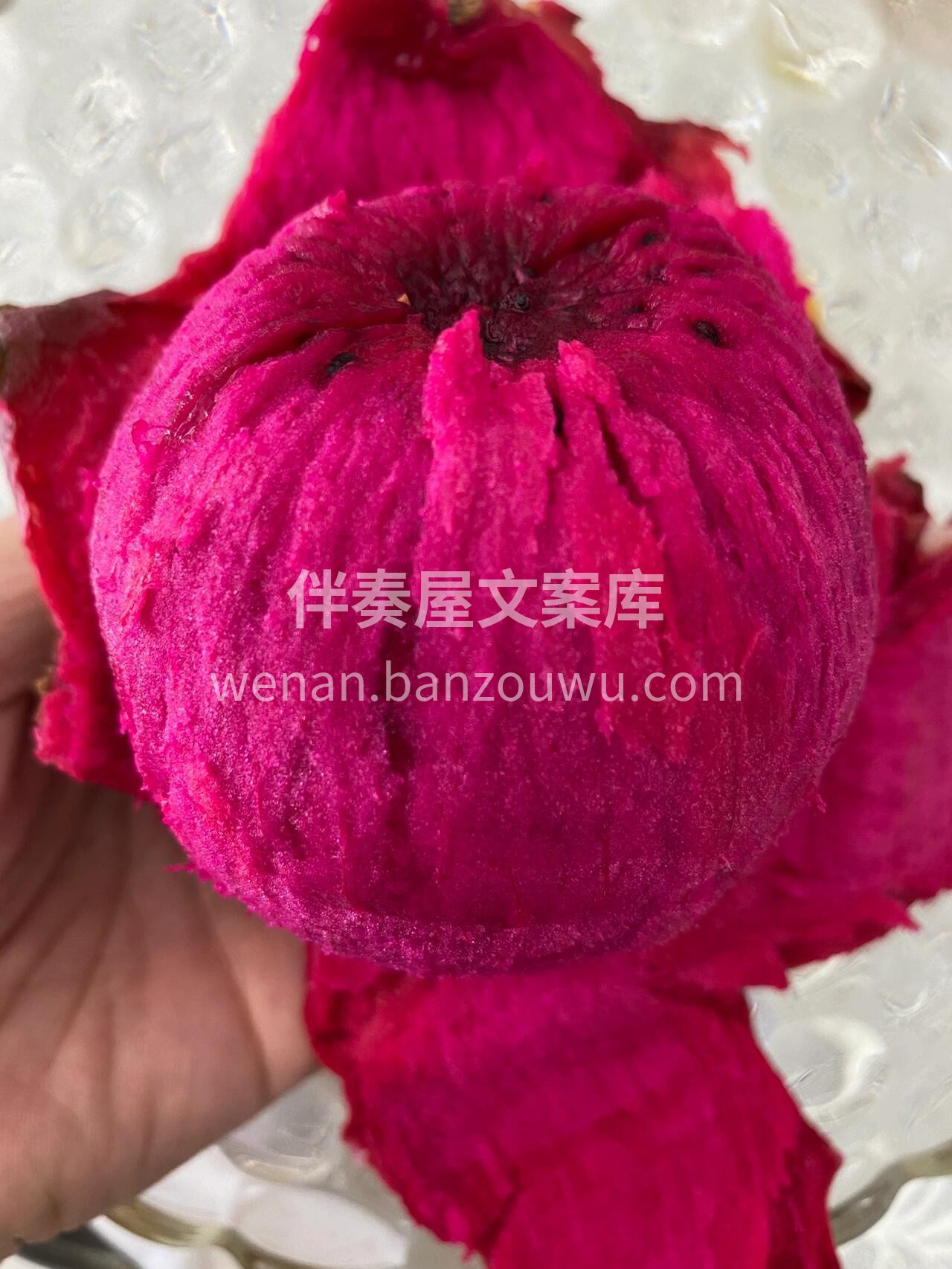 每天都该来一个的红胖子💗，爆汁的花青素， 配图1