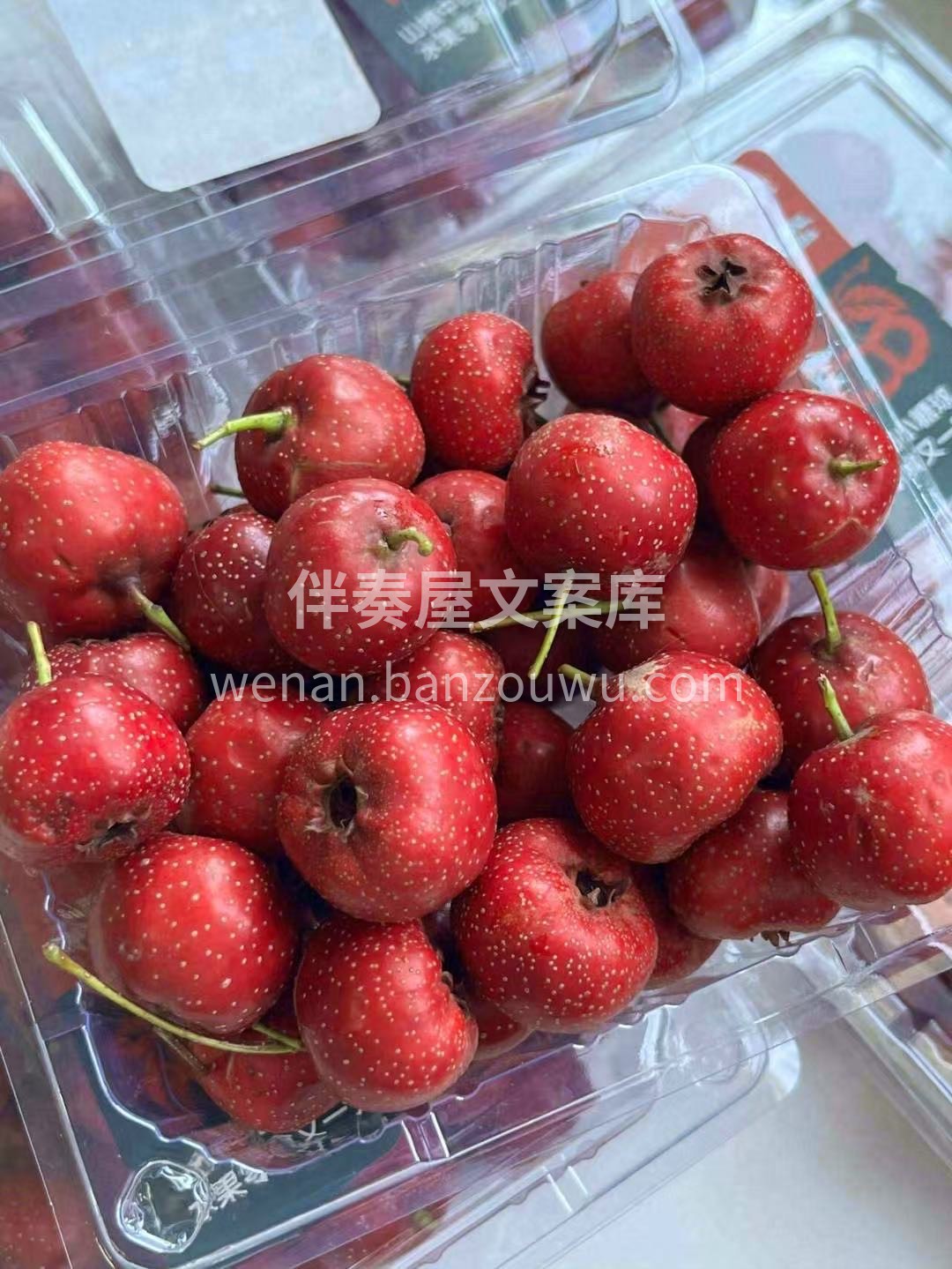 山楂红了，是秋天最甜的念想～ 一口山楂， 配图2