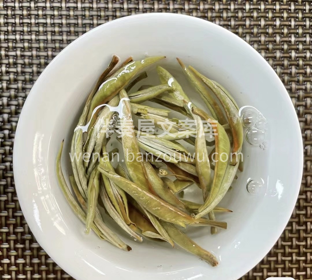 白茶银针，宛如清泉中的精灵，轻轻舞动在杯 配图3