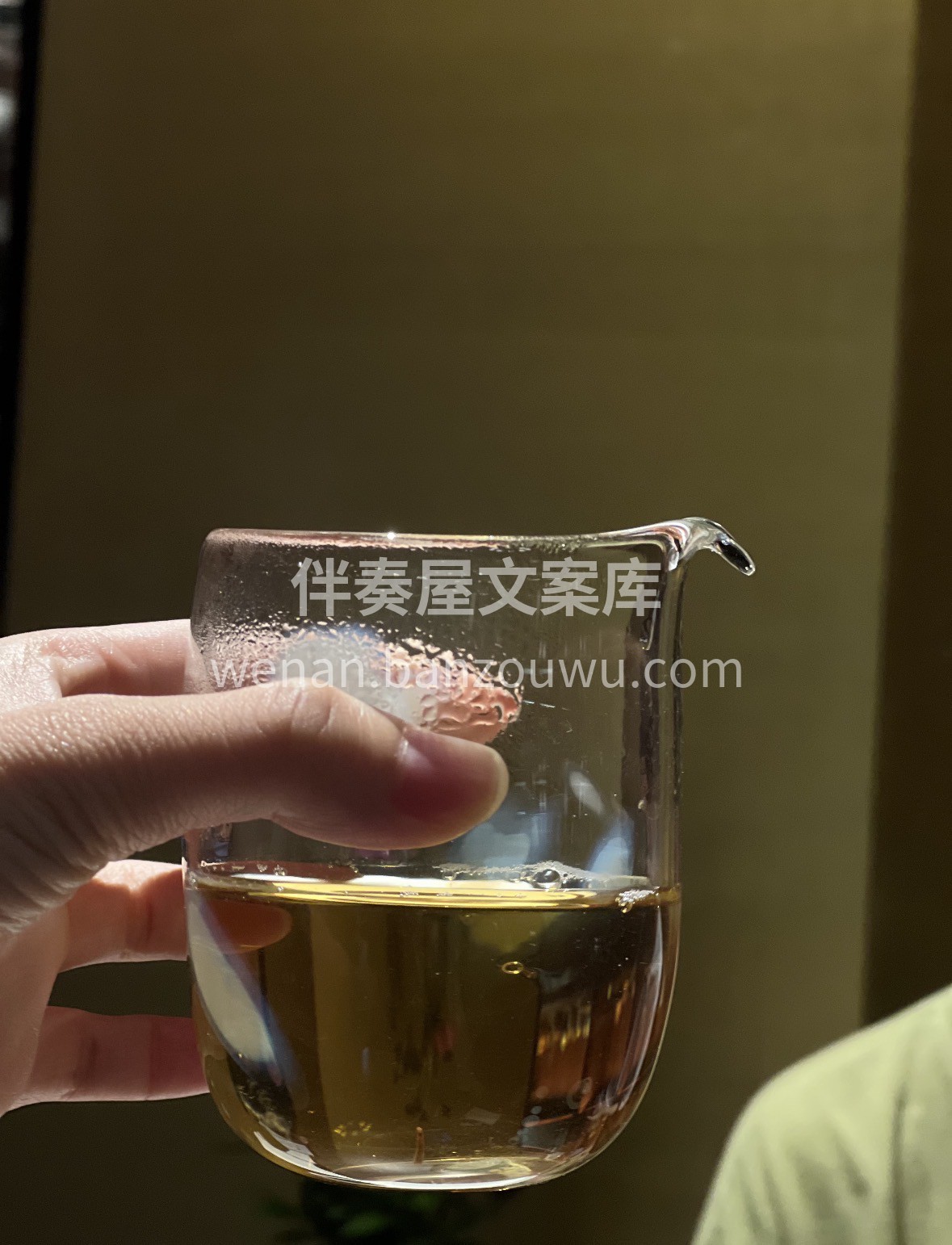 茶中“美人”，自带蜜韵花香🌼 走亲访友选 配图3