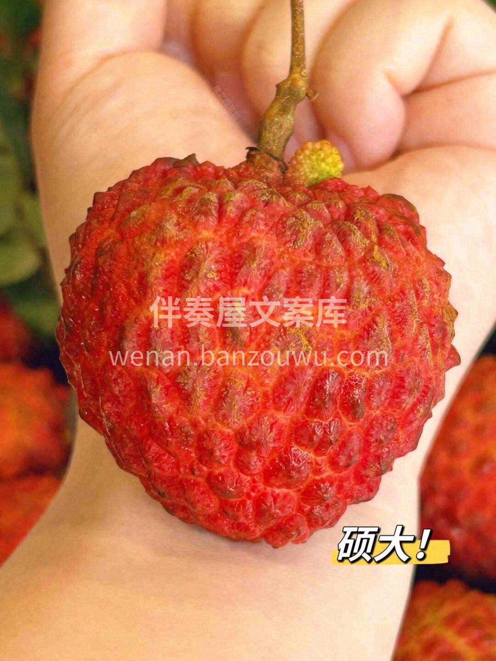 👑杨贵妃受宠吃的是妃子笑，给你的TA安排 配图2
