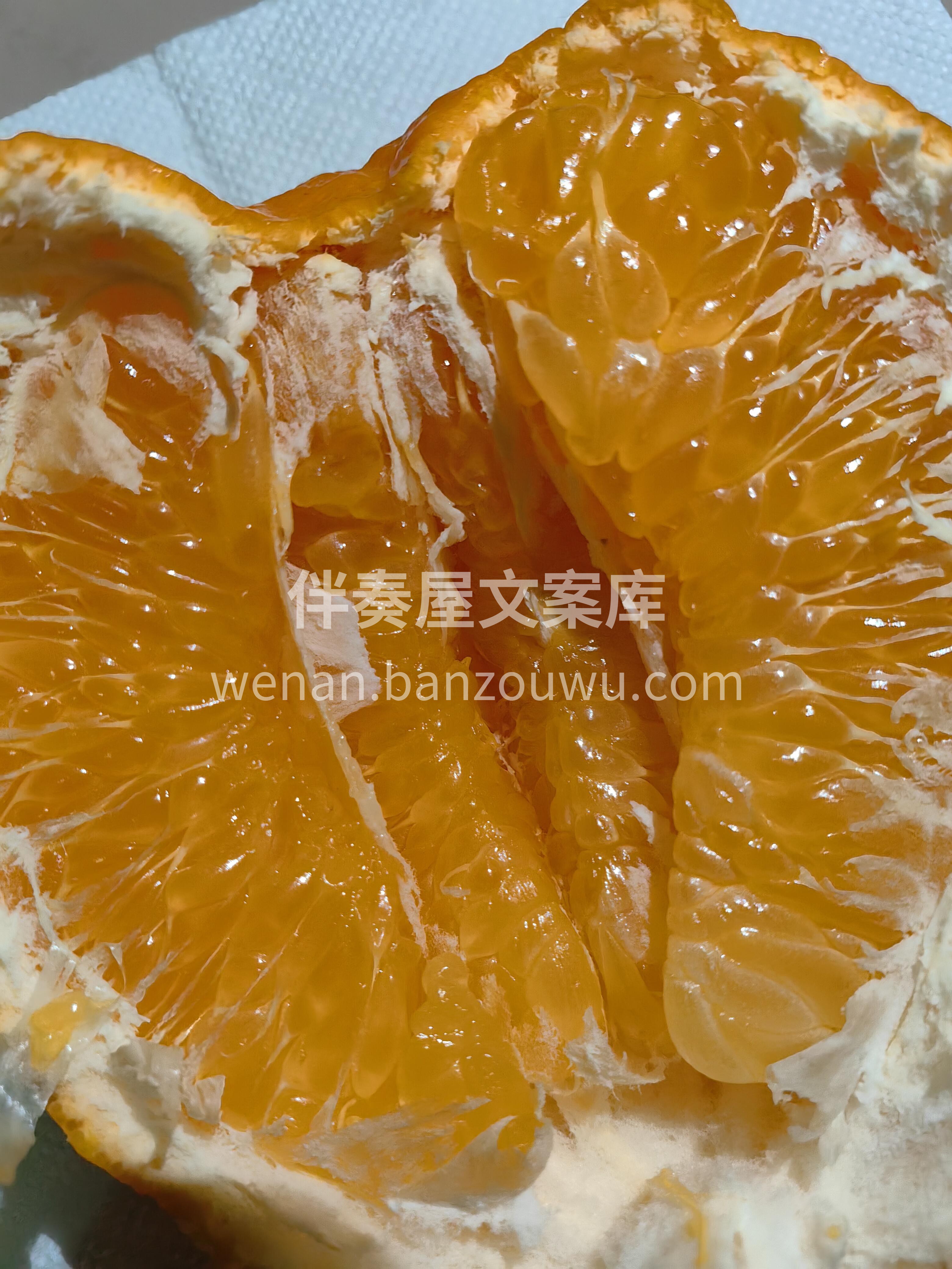 🍊 春见耙耙柑正当红！ 果皮软软一剥就开 配图1