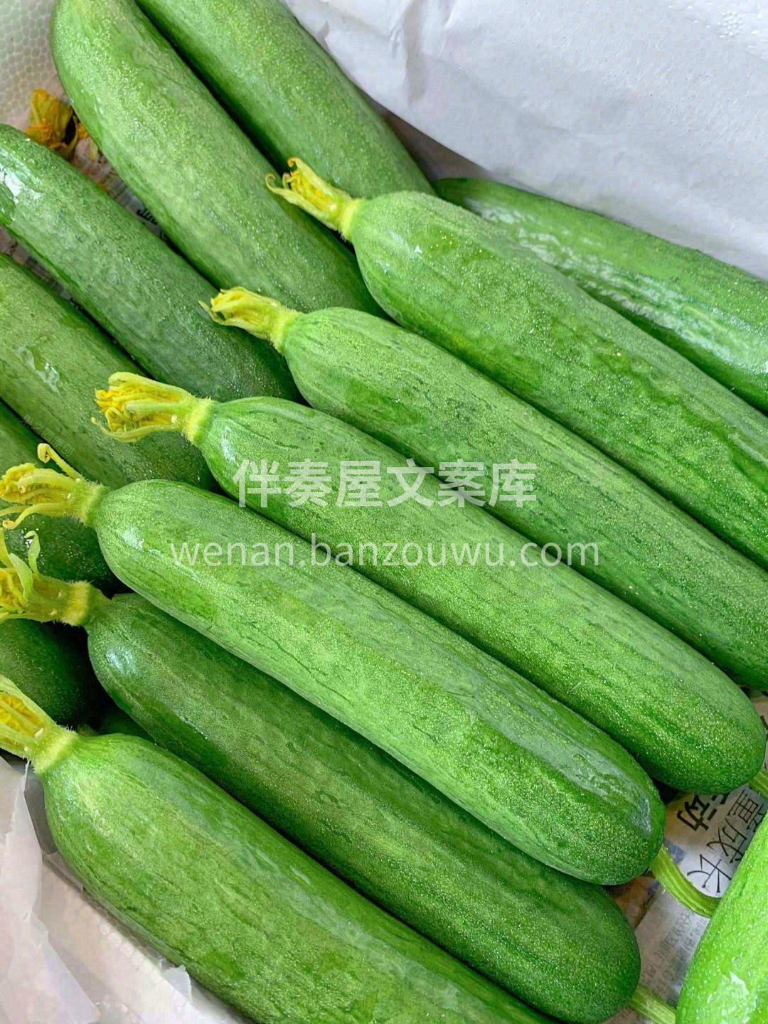 👍去火神器水果黄瓜新货到 上火来一根🔥  配图2