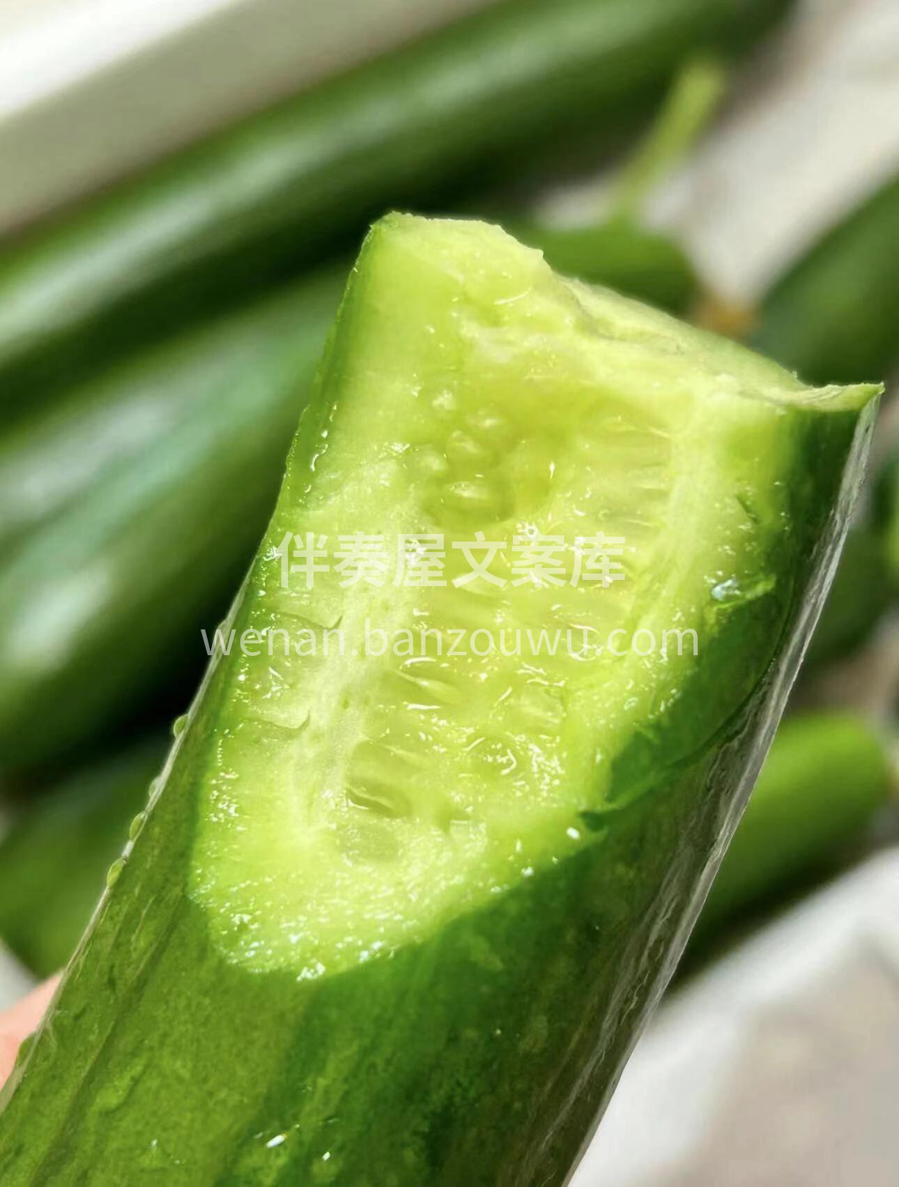 🥒光是看着都觉得新鲜🌿， 咬上一口，清脆 配图1