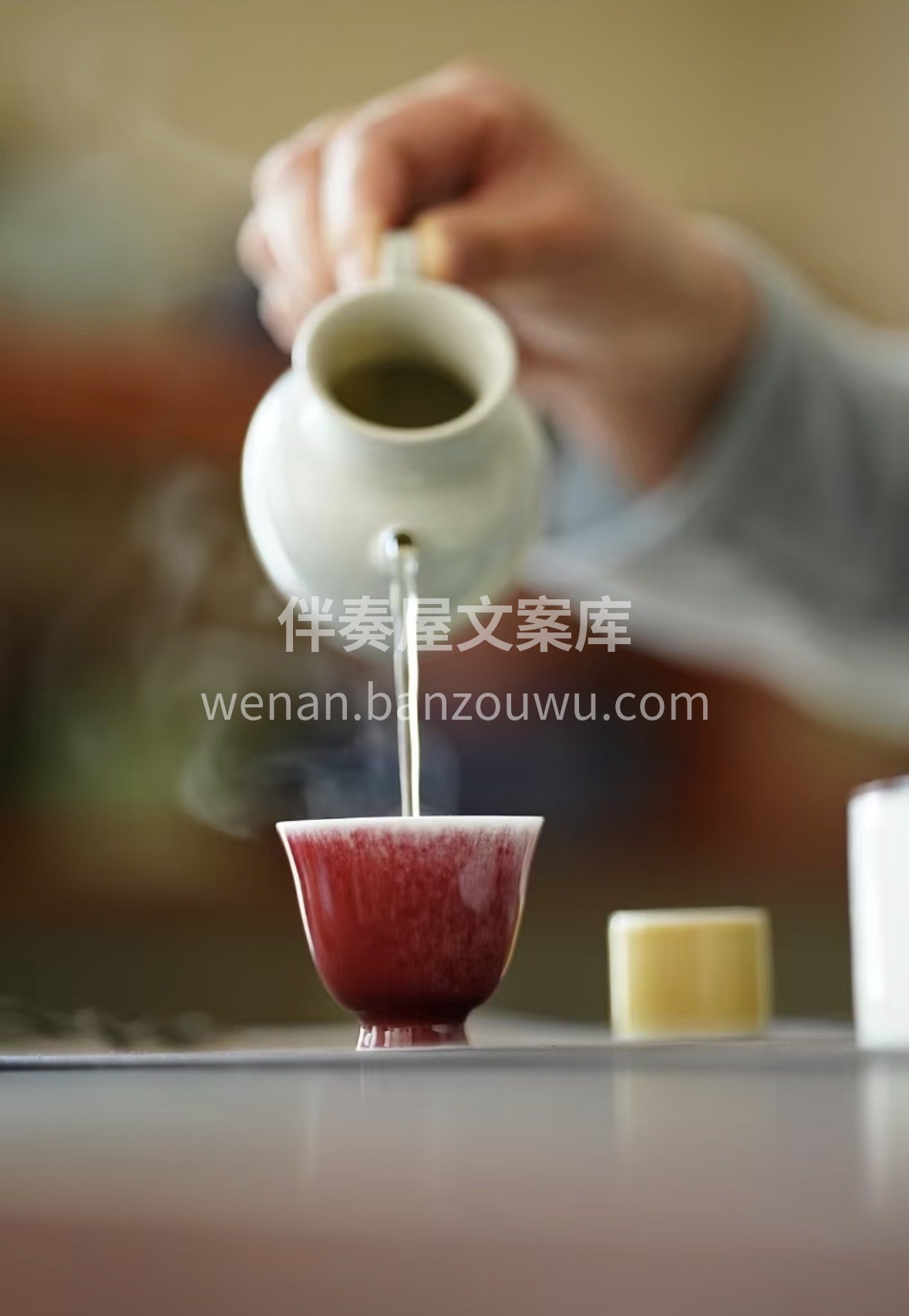 春日好茶，贵在头采银针🍵 不炒不揉，天然 配图3