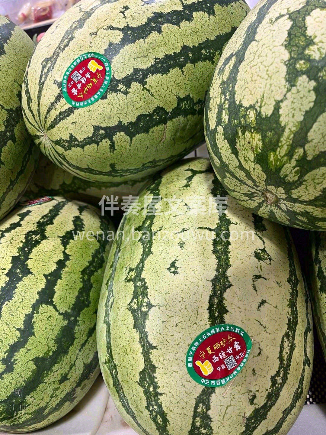 硒砂瓜大块细胞壁和粗粗的瓜砂是标准的“小 配图3