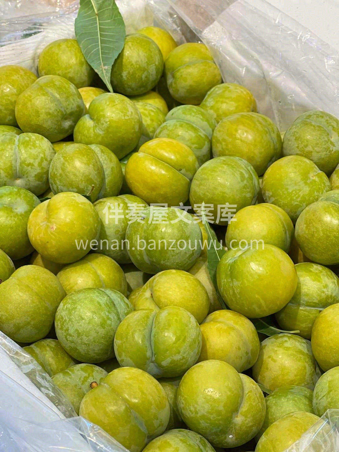 ✨今日份新鲜已上架✨ 香甜水果🍉陪你开启 配图1