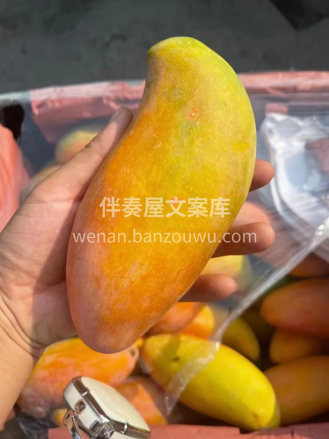 🥭芒果控看过来😍甜到心坎的象牙芒♥️ 一 配图2