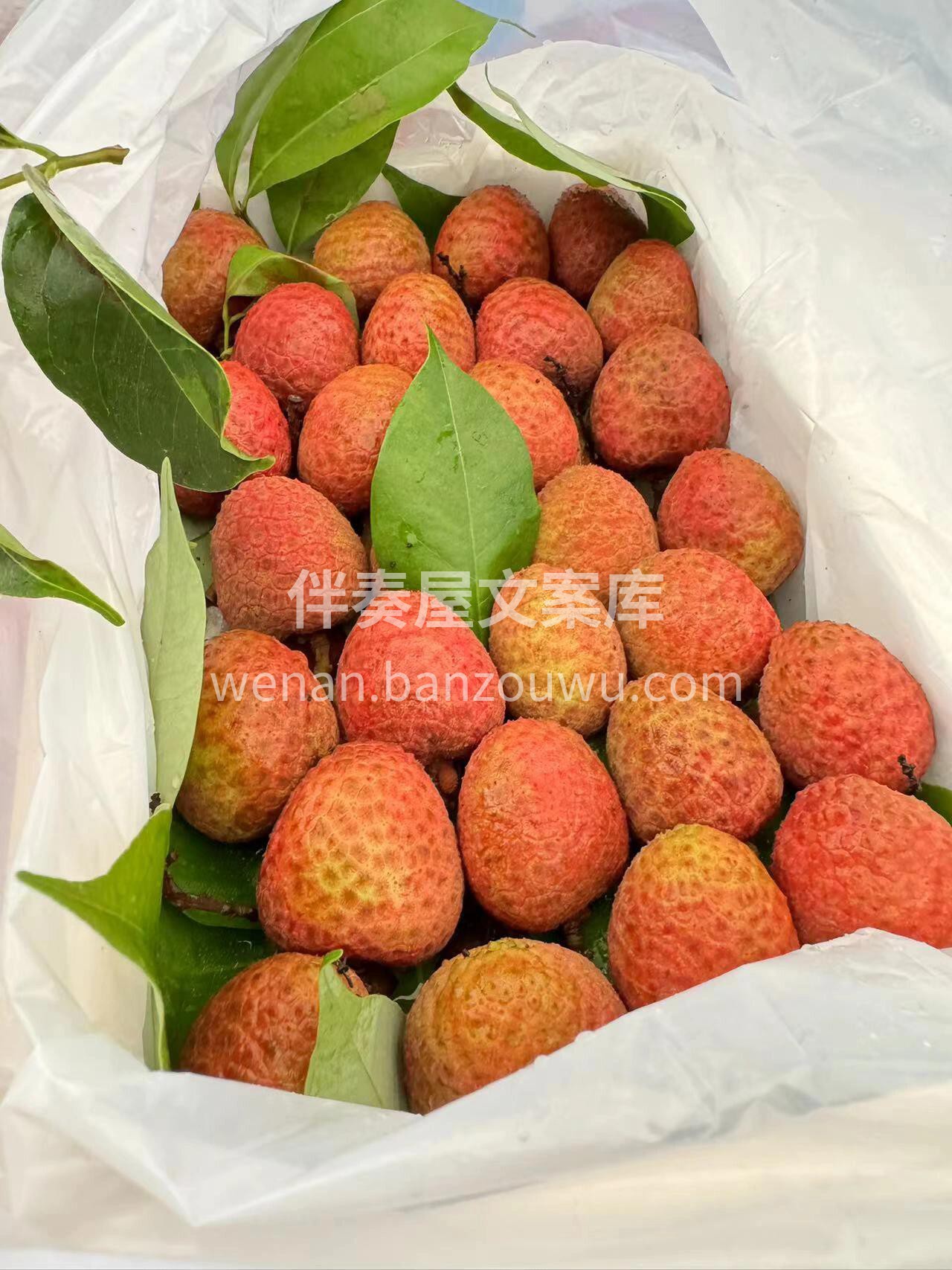 海南桂花香荔枝新鲜上市啦?四月春风暖?迎 配图1