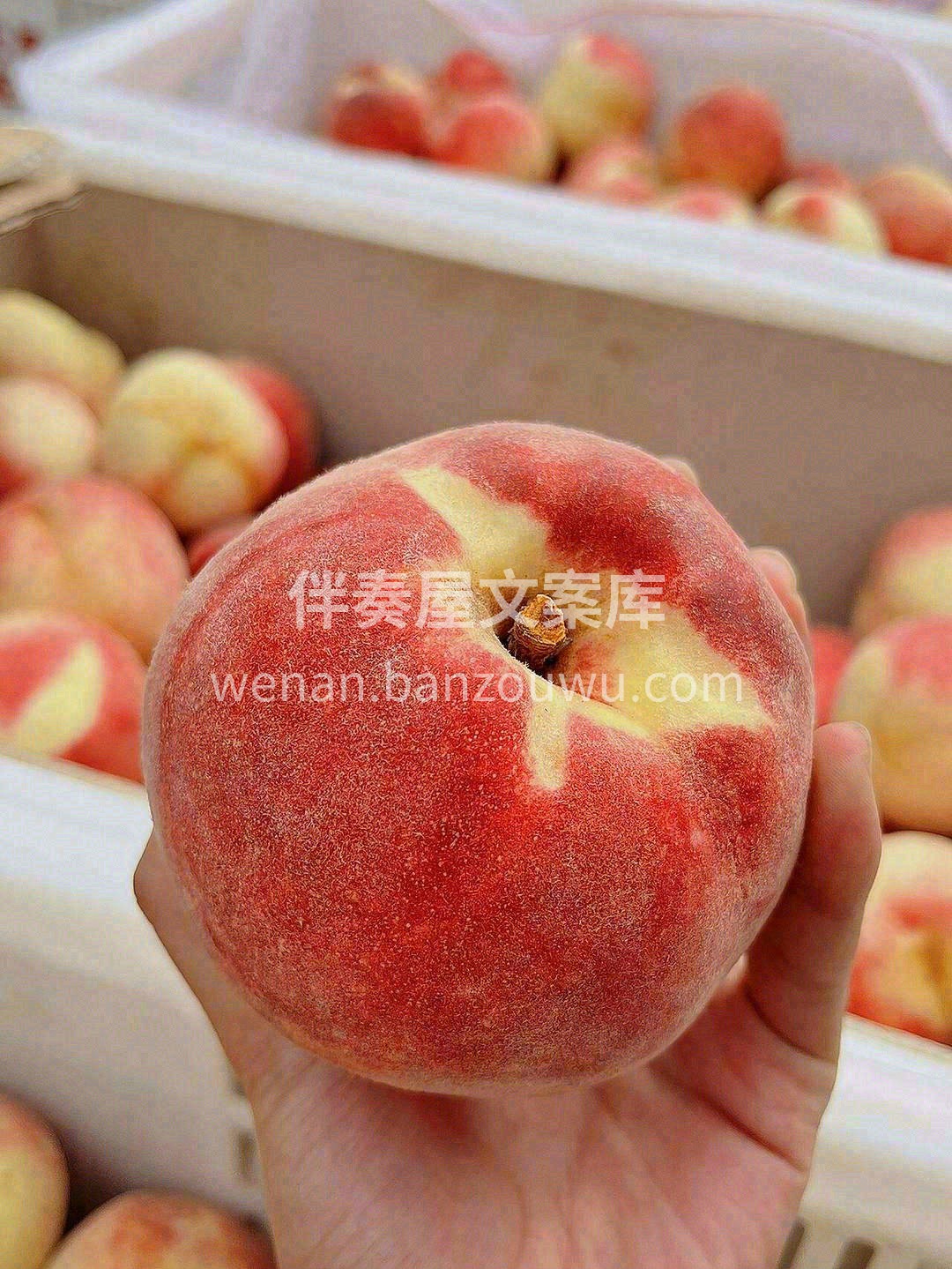 😊白里透红的桃子像刚出生婴儿的皮肤🍑粉嘟 配图3
