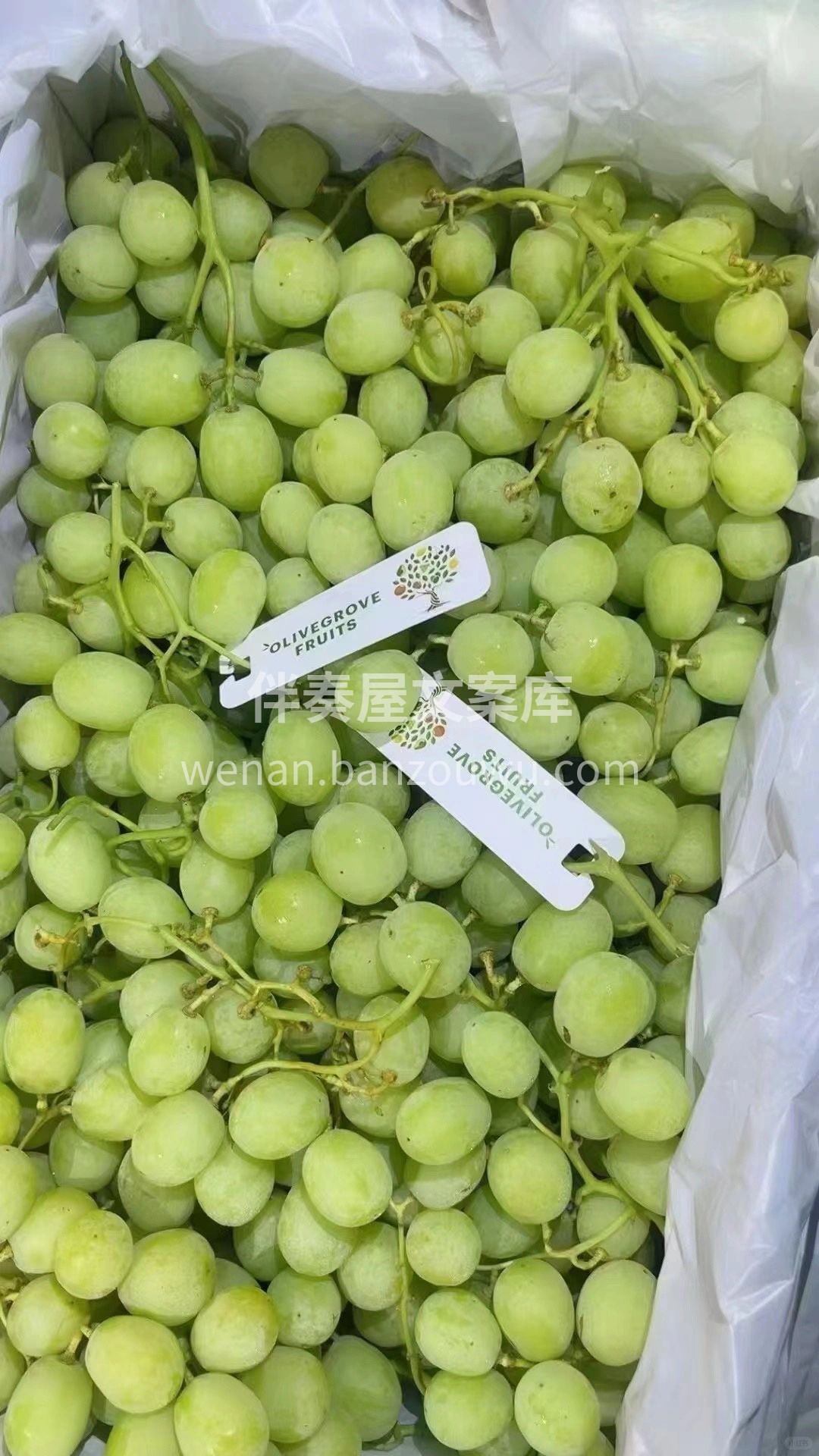 澳洲阳光雨露滋润💦，土壤营养高🌱，水量充 配图1