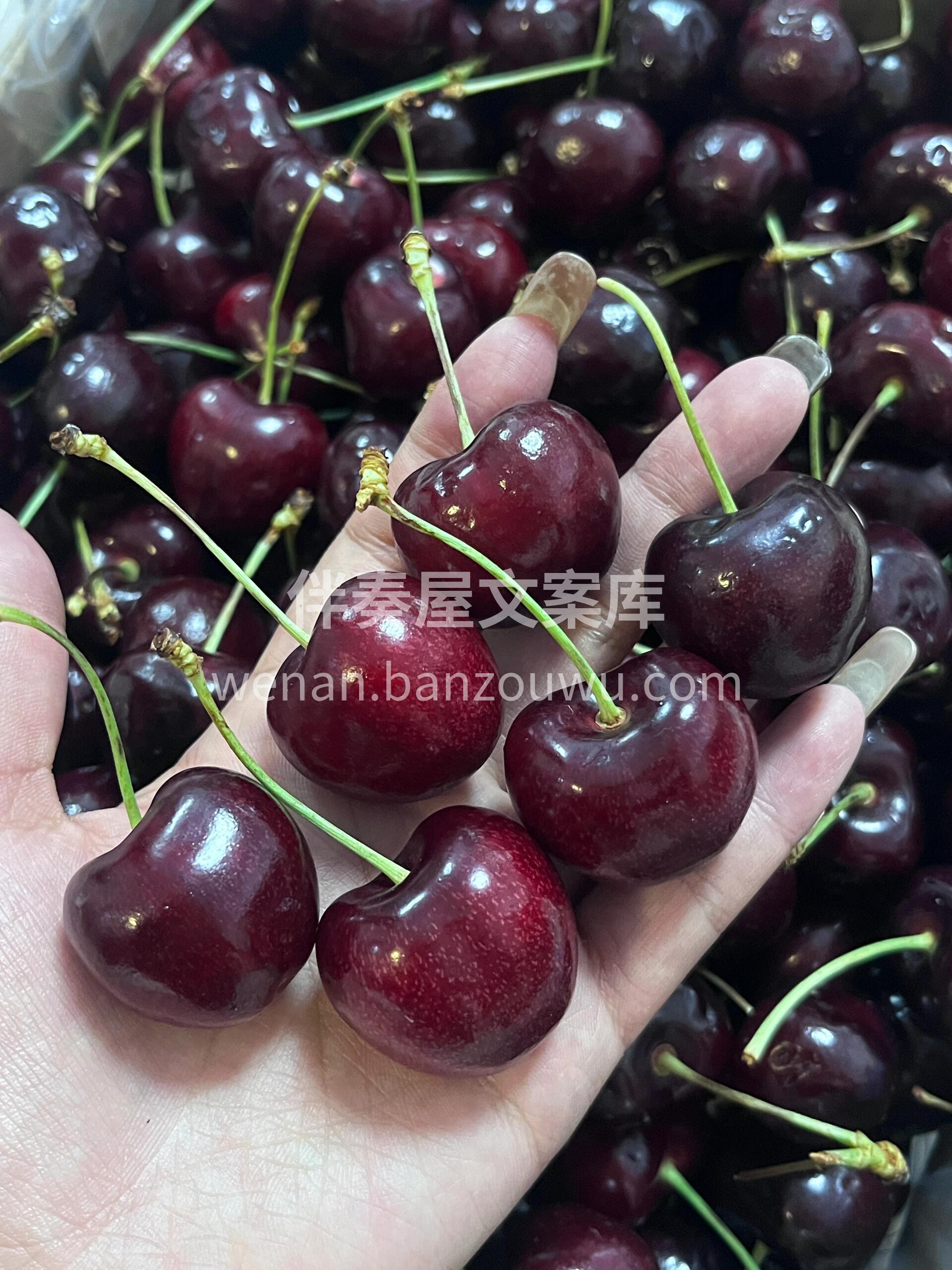 贼甜贼甜的大车厘子🍒，口感无敌了😍夏天吃 配图2