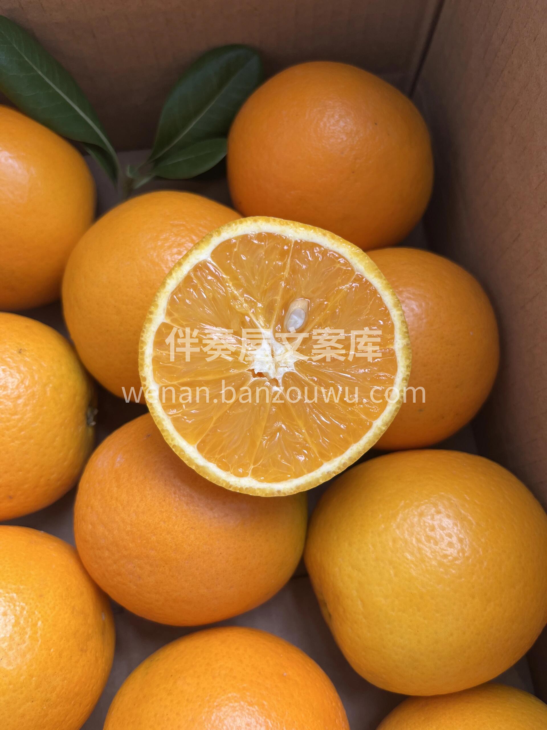 酸甜可口，汁多饱满，夏天独一份！ 🍊秭归 配图2