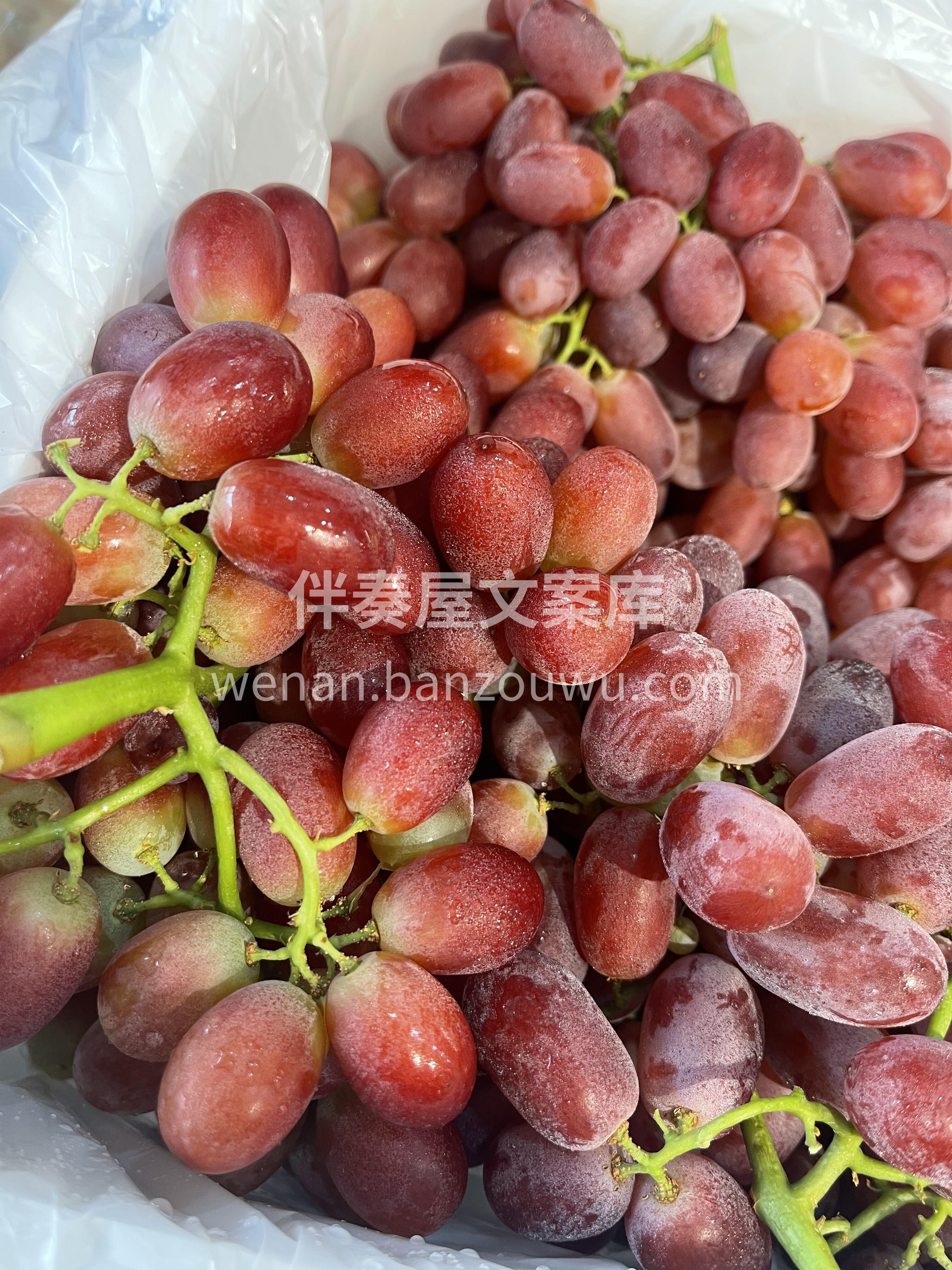 无籽红提🍇 一口一粒不吐皮😜入口甘香冰玉 配图1