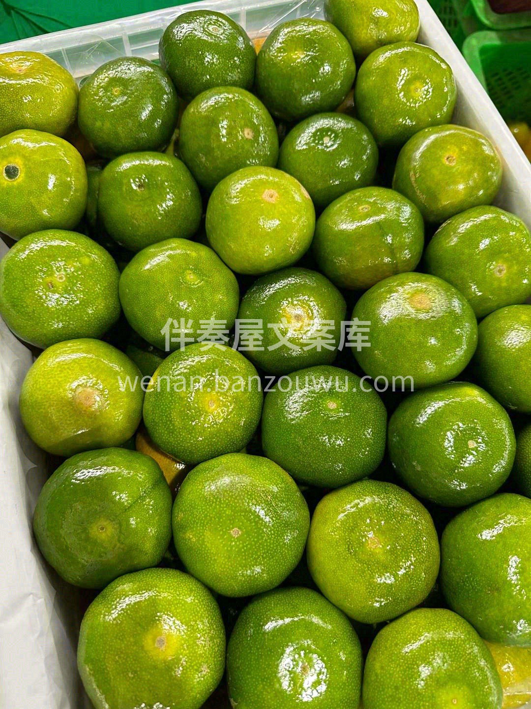 🍊一年中最早的橘子，集众多优点于一身👍 