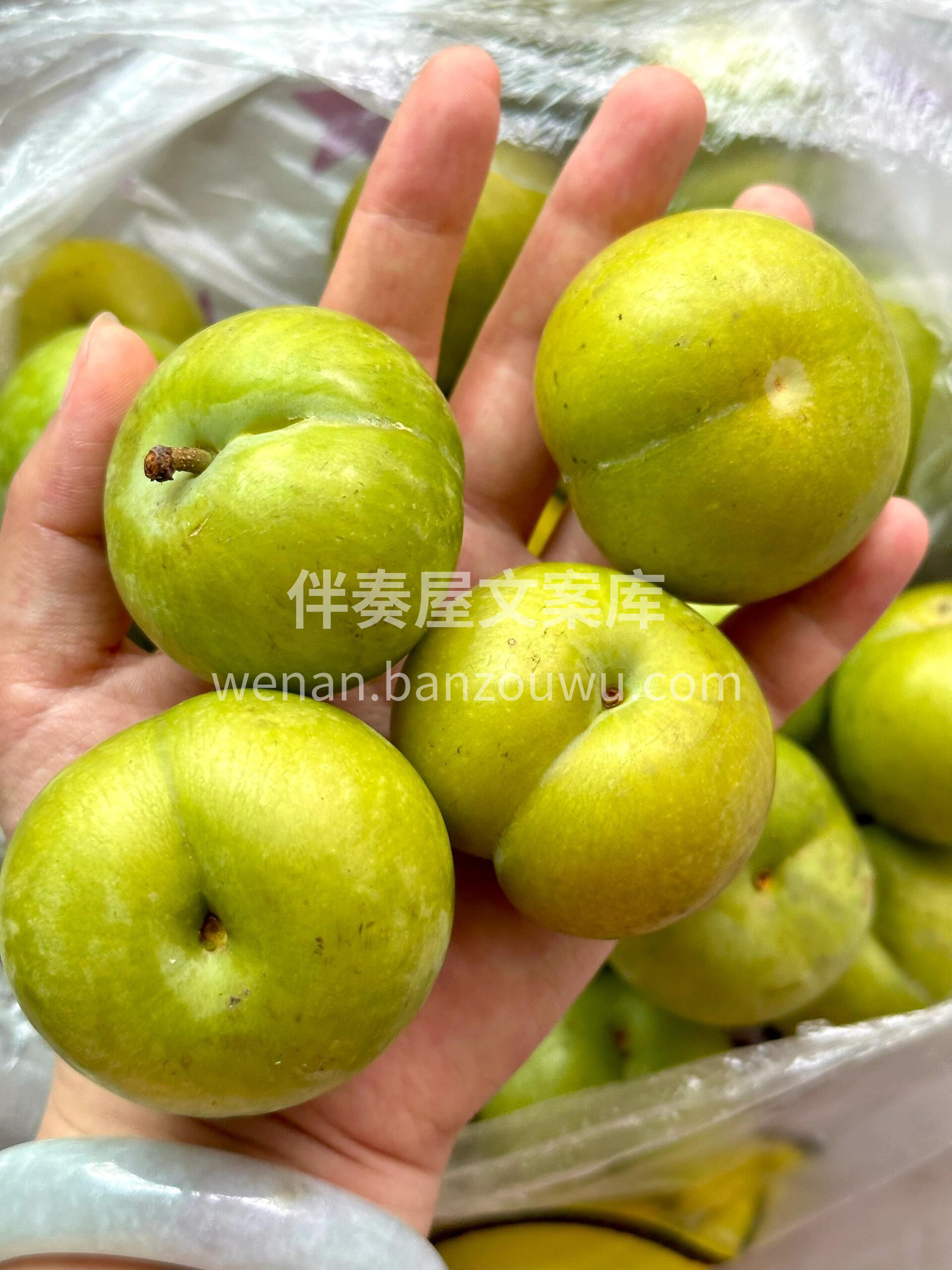 蜂糖李～火爆开炸🔥🔥🔥 这个夏天最热款， 配图3