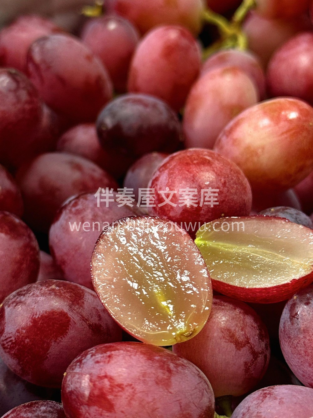 小鲸鱼红提🌈来自智力安第斯山脉得献礼👍  配图1