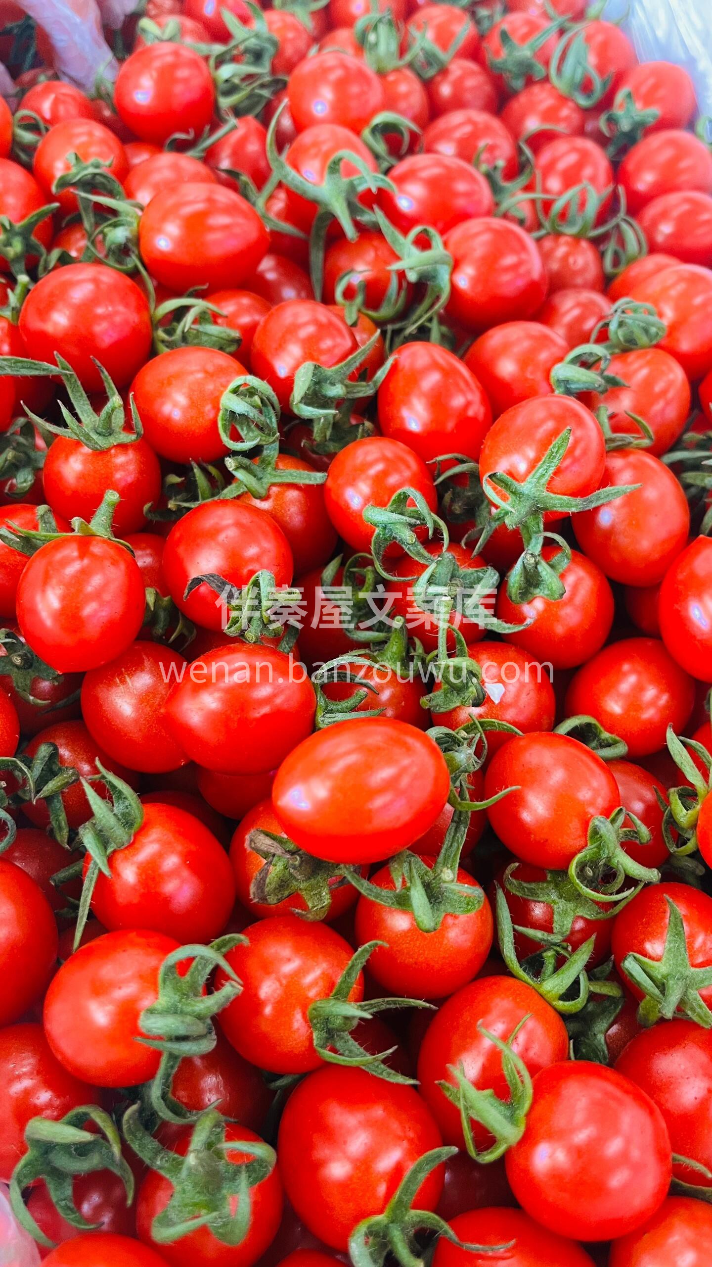🔥🔥每天必吃的水果👉玲珑千禧果🍅富含大量 配图2