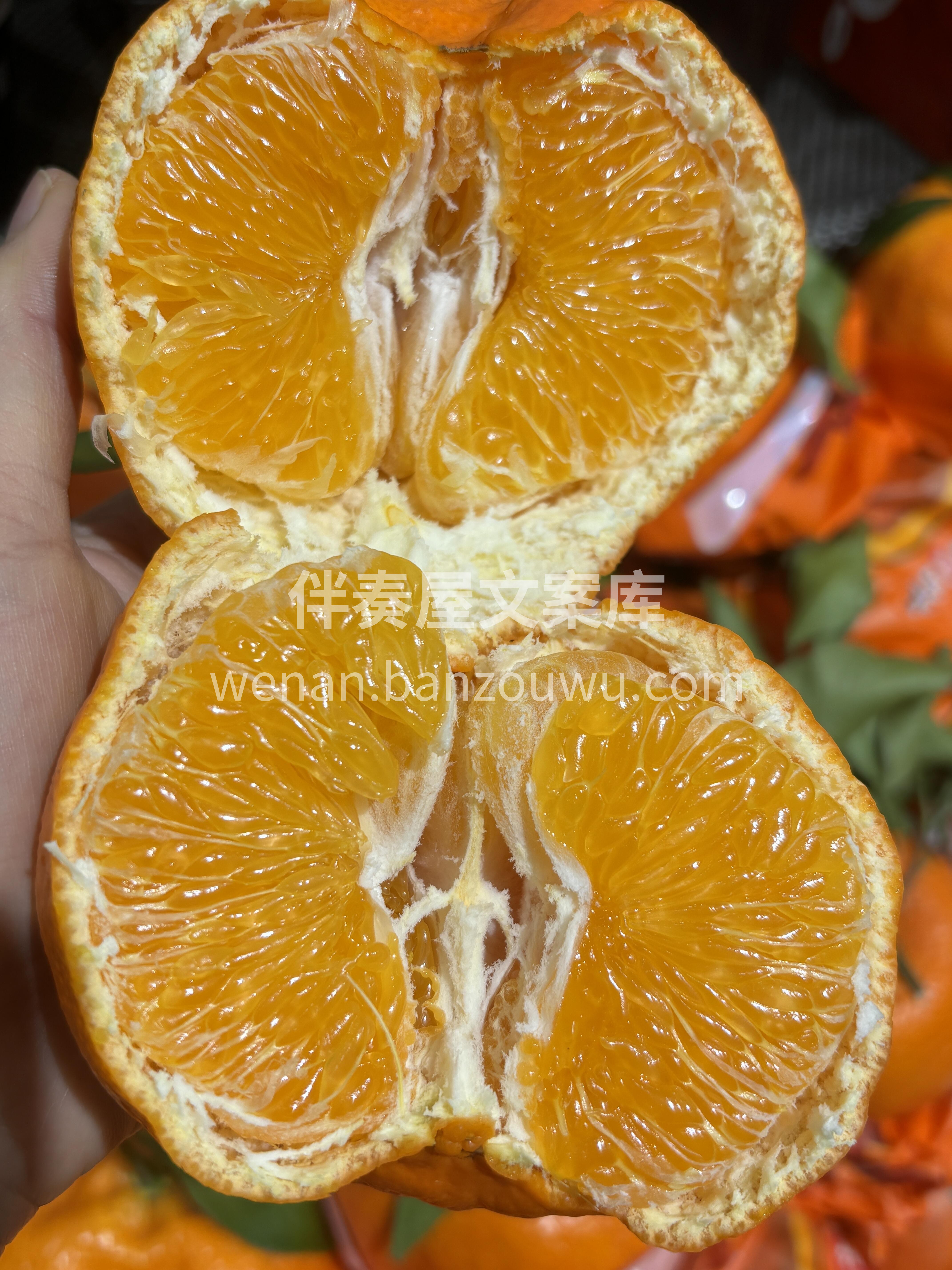 天府之国的“春见耙耙柑”来啦🌈！！ 比橘 配图1