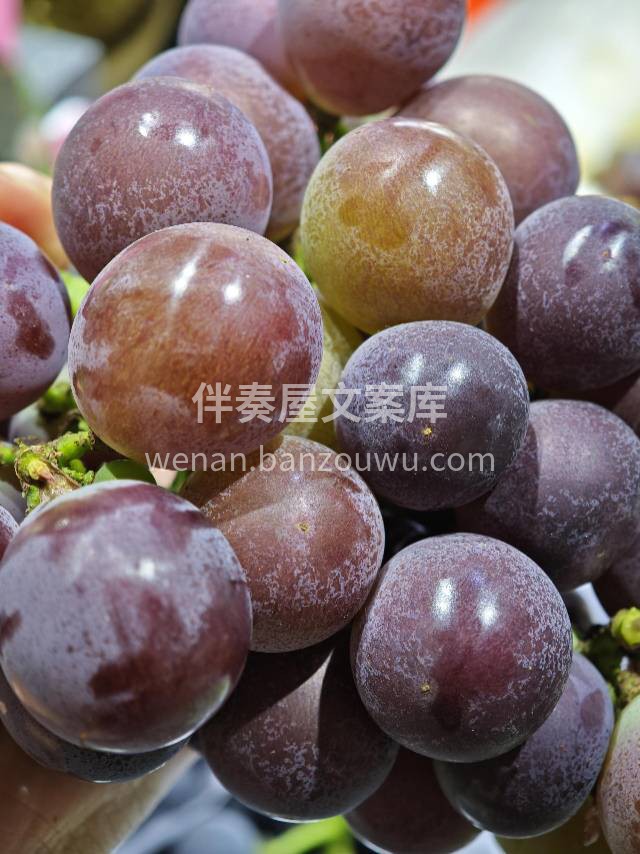 【超级好吃巨峰葡萄🍇】♥️甜蜜推荐👉 🍇 配图2