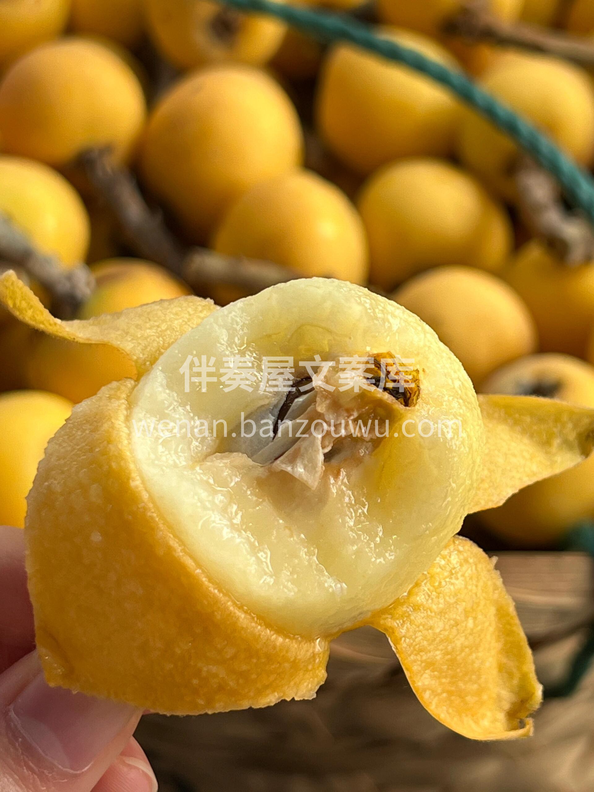 白玉枇杷🔆五月中旬，晒足了江南的阳光雨露 配图1