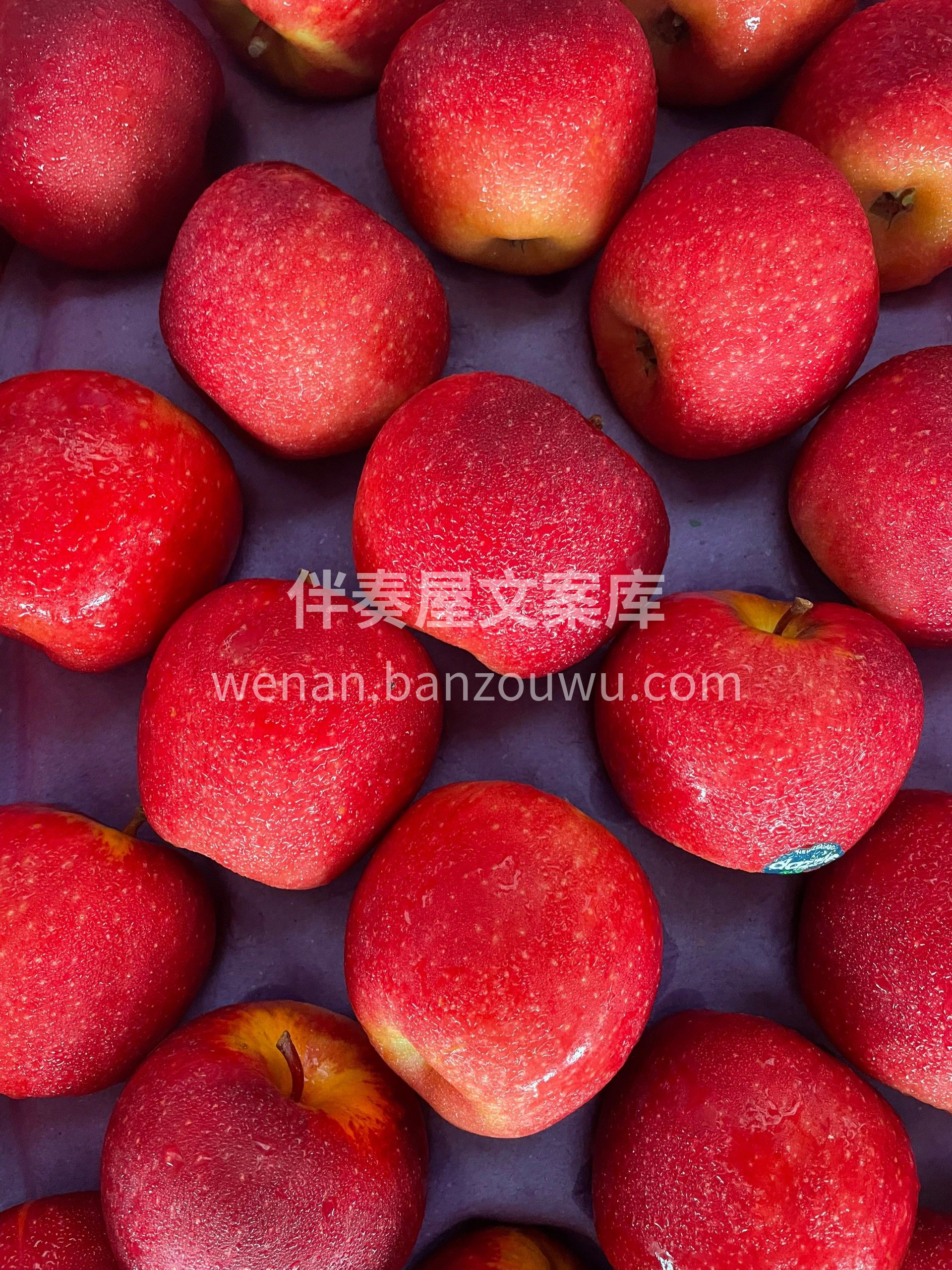 👉这款苹果的口感真的绝了‼️ 一口让你惊 配图1
