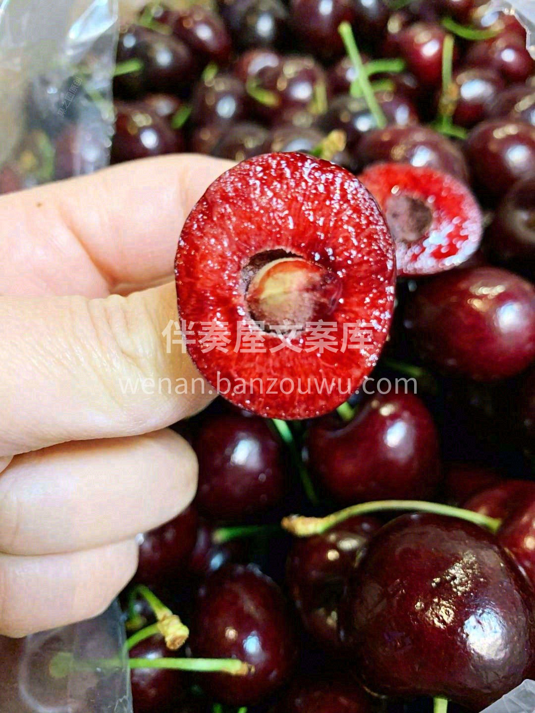 看果柄鲜嫩翠绿🌱 看果体红的发紫🌹 看外 配图2