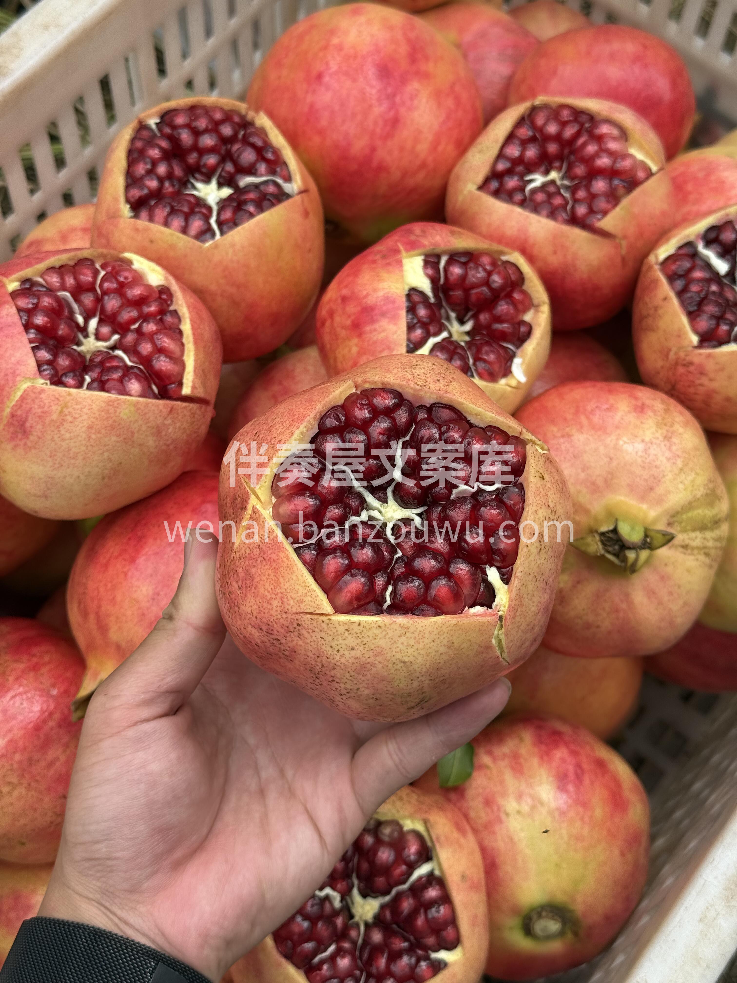 秋风起🍁水果正当时 清甜不腻🍐滋润身心  配图1