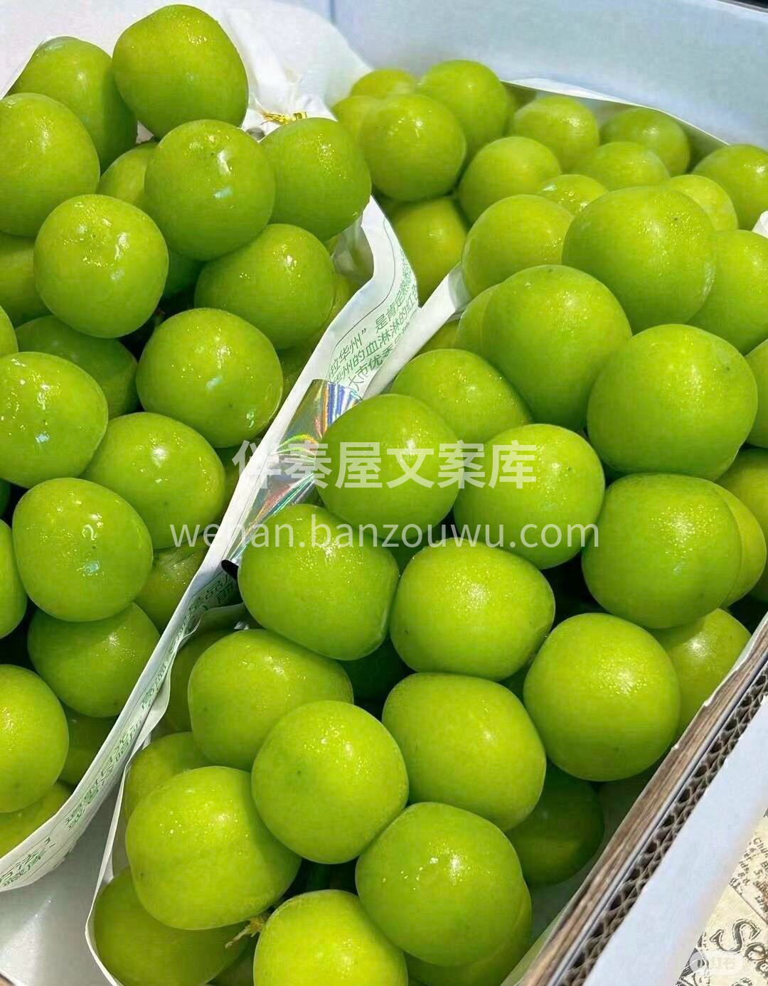 【阳光玫瑰】🍇 💚味道香甜，无籽，吃起来 配图3