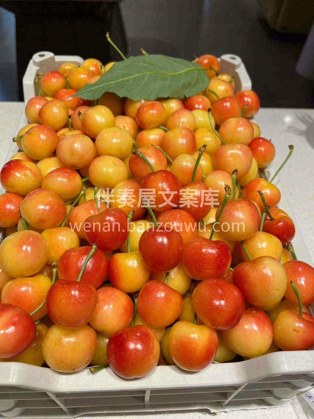 把这些小家伙带回家🏠 它们会：早上变身活力充电宝🔋 下午化身 配图6