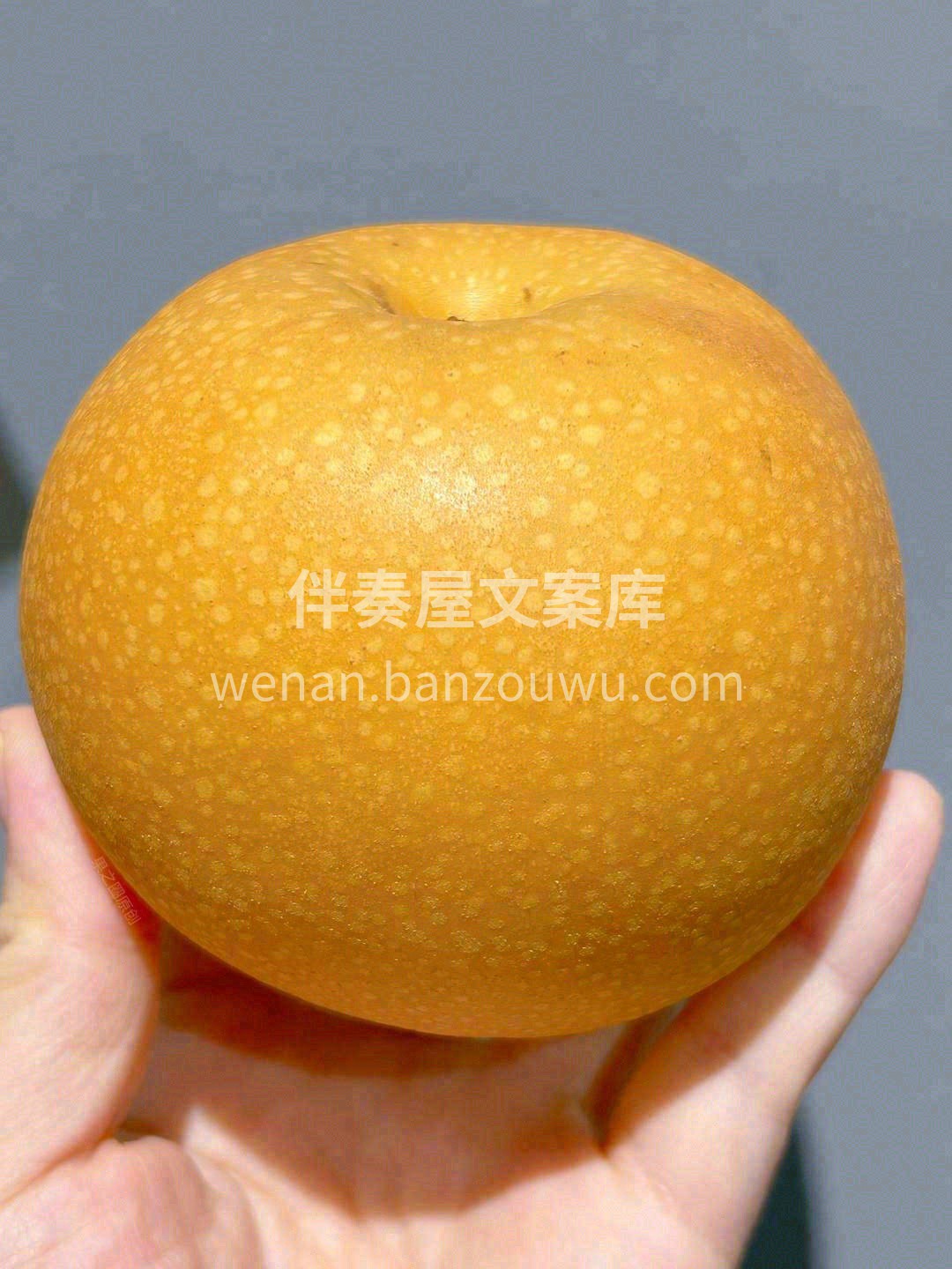 超好吃秋月梨，吹爆😻😻！ YYDS最靓秋 配图3