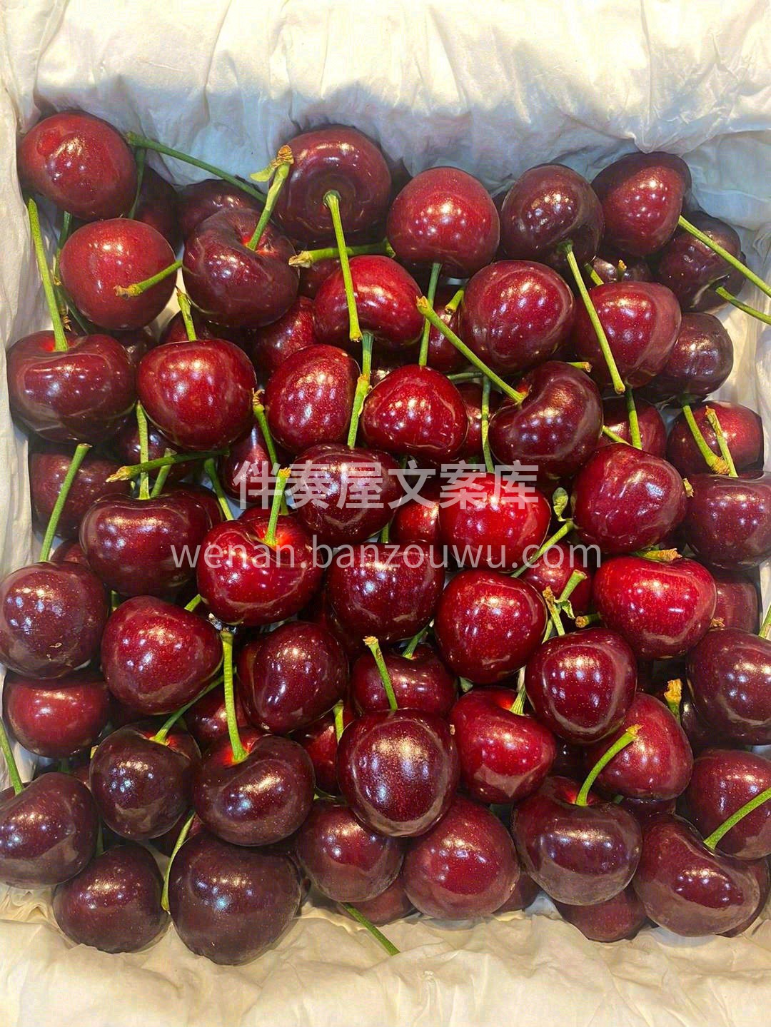 🍒颗颗饱满水灵，这样高级的紫红💖酿满了甜 配图3