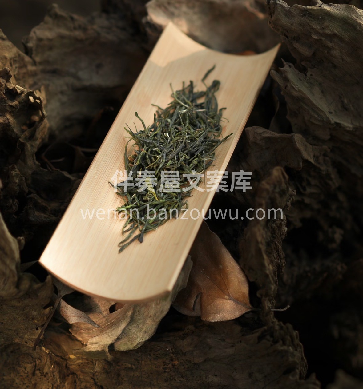 雪尽茶山青，春归毛尖香。以一杯清茗，敬新 配图1
